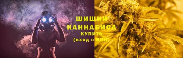 PSILOCYBIN Богородицк